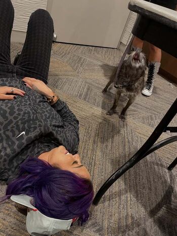 Bayley