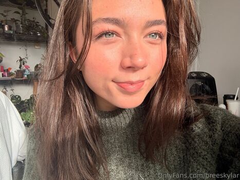 breeskylar