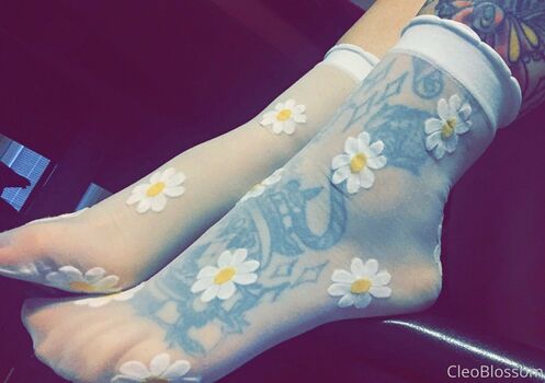 cloeblossom