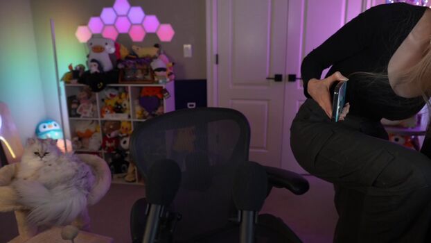 Dizzykitten