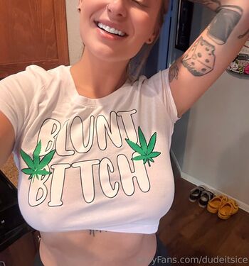 dudeitsice