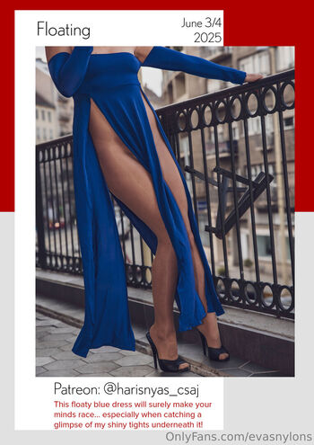 evasnylons