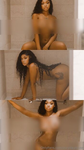 evrydaymuse