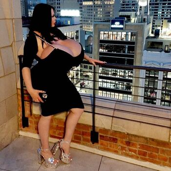 Foxy Menagerie Verre