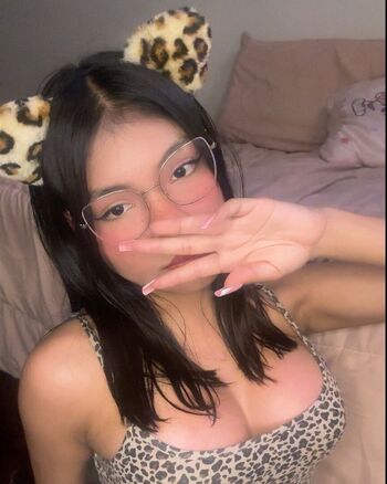 gatita_kiti