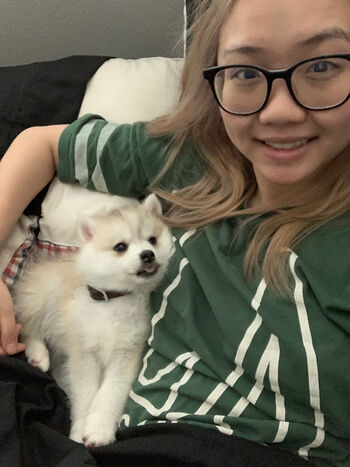 harrietsugarcookie
