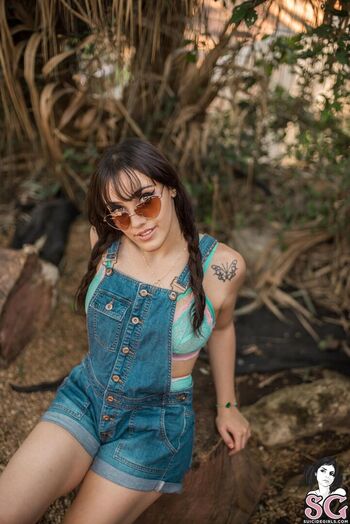 Haub Suicide
