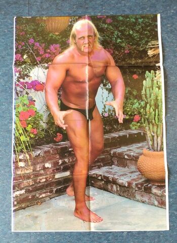 Hulk Hogan