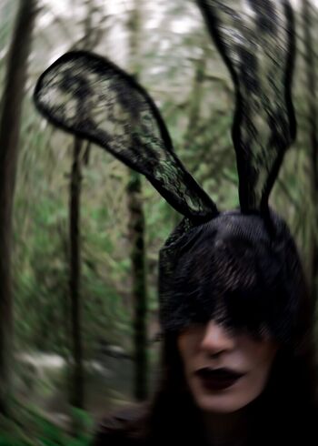 katebunnyrabbit