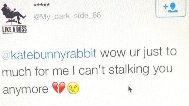 katebunnyrabbit