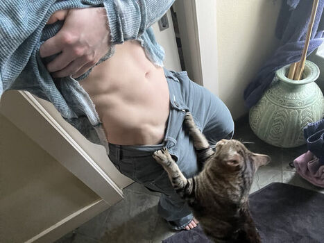 kitty_bit_games