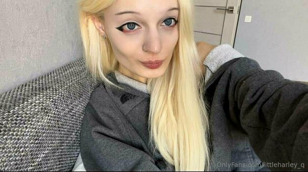 littleharley_q