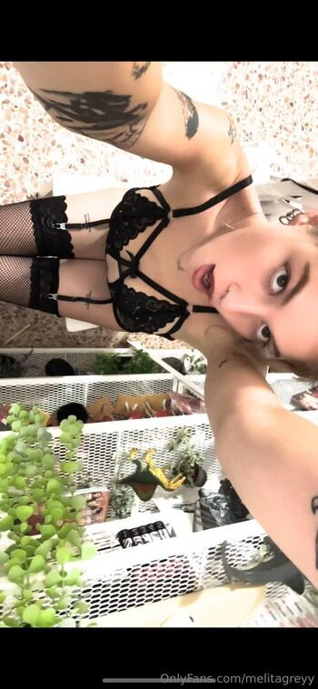 melitagreyy