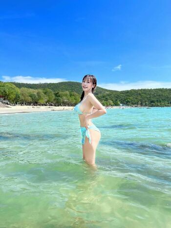 nisazandy
