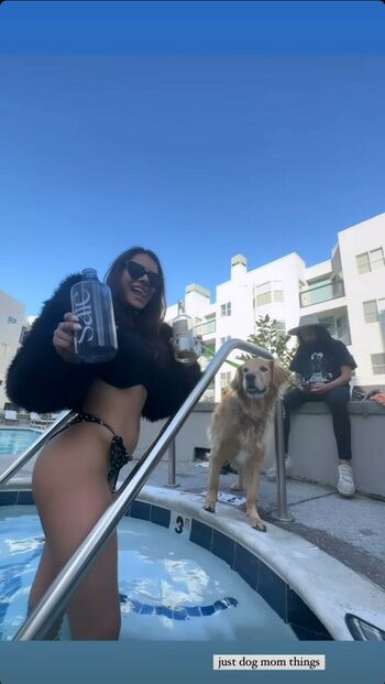 Noheli :