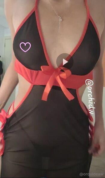 orquideaw