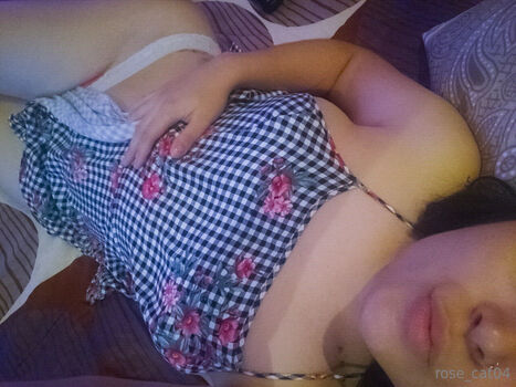rose_cat04