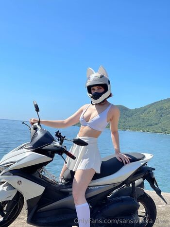 sansivierra_free