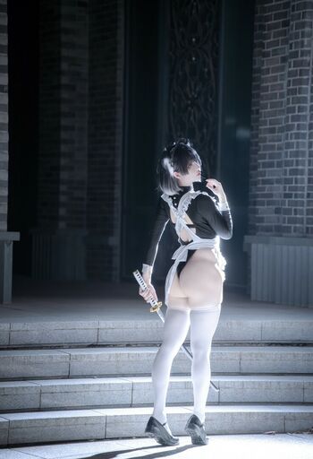 shiliuyelei