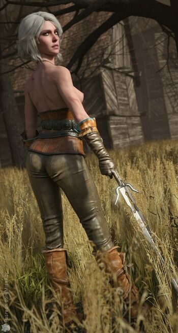 The Witcher