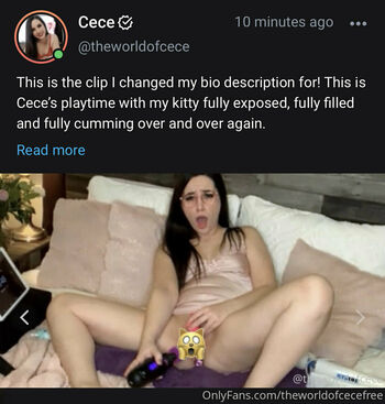 theworldofcecefree