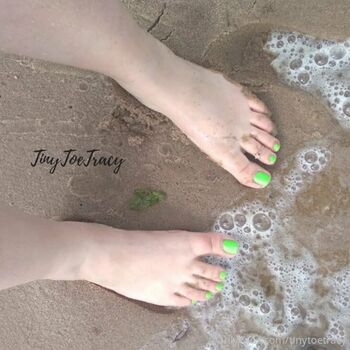 tinytoetracy