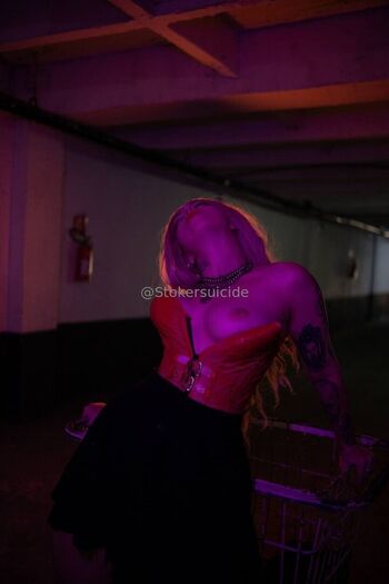 venusdoom.vip