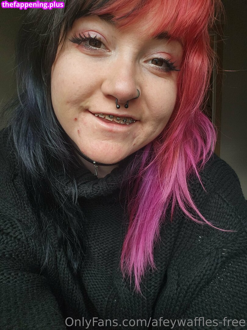 vixen.kitten-free