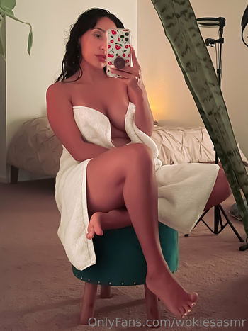 Wokies Asmr